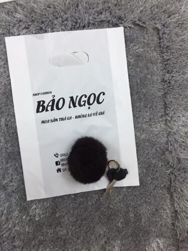 túi hạt xoài in 